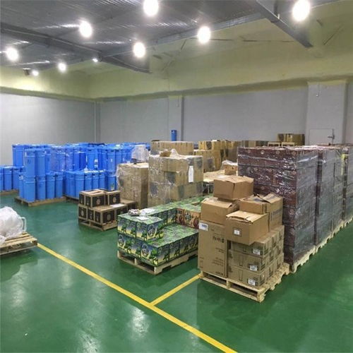 上海到綏化冷鏈專線 連接南北的高效物流動脈與行業洞察